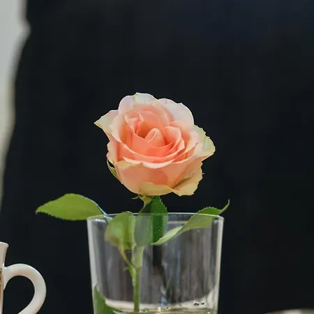 Osiedle Bursztynowe Baltycka By Renters コウォブジェク